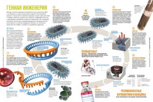 Тайны тела человека. Большая иллюстрированная энциклопедия фото книги 7