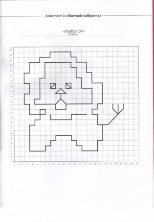 Не просто лабиринты. Набор 2 фото книги 4