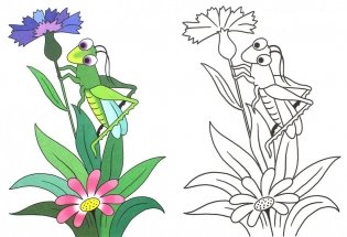 Веселые насекомые фото книги 2