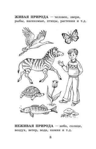 1000 упражнений для подготовки к школе фото книги 27