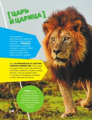 Большая энциклопедия о животных. 500 фотографий и фактов фото книги 3