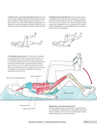 Анатомия фитнеса и силовых упражнений для женщин фото книги 10