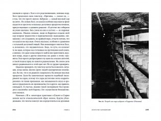 Происхождение вкусов: Как любовь к еде сделала нас людьми фото книги 4