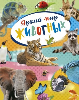 Яркий мир животных фото книги
