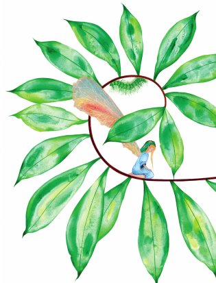 Остров мечты. Секрет стражей леса фото книги 3