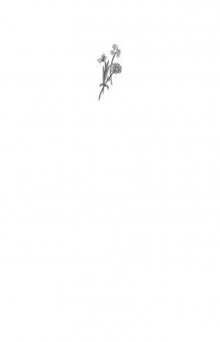 Побег садовых гномов (#1) фото книги 2