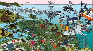 Океаны. Найди и покажи фото книги 3