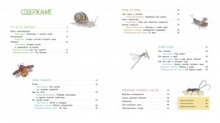 Насекомые и другие маленькие животные фото книги 2