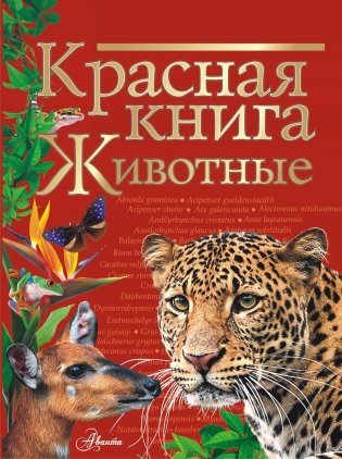 Красная книга. Животные фото книги