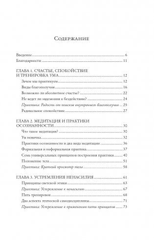 Радикальное спокойствие. Созерцательные практики для глубинного благополучия фото книги 2