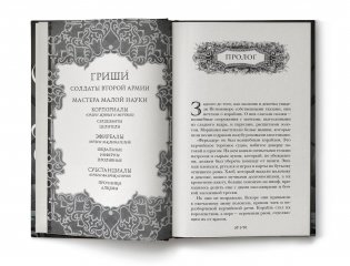 Штурм и буря фото книги 2