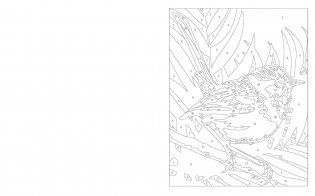 Large print colour by numbers birds фото книги 2