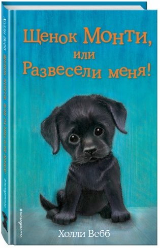 Щенок Монти, или Развесели меня! фото книги 2