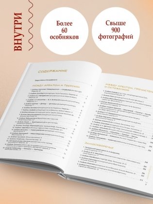 За парадными дверьми: московские особняки в фотографиях и историях (обновленное издание) фото книги 3