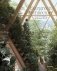 Evergreen Architecture. Overgrown Buldings and Greener Living фото книги маленькое 2