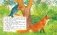 Лесные истории. Сказки и рассказы для детей (ил. М. Белоусовой) фото книги маленькое 7