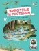 Животные и растения рек, озёр и морей. BIObook А. Толмачёва фото книги маленькое 2