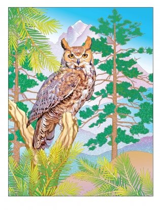 Creative Haven Forest & Woodland Wildlife Coloring Book фото книги 11