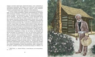 Золотой жук фото книги 6