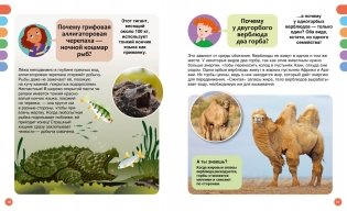 Почему? Вопросы и ответы обо всём на свете фото книги 4