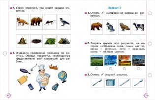 Оценка готовности к школе. Стартовая диагностика. Обучение грамоте. Математика. Окружающий мир. 1 класс. Рабочая тетрадь фото книги 4