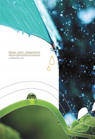 Научные теории за 60 секунд фото книги 8