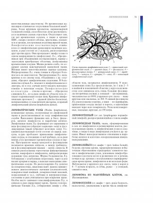 Ветеринарная энциклопедия. Том 2. К-Я фото книги 4