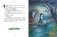 Котёнок, который всего боялся. Сказки премудрой совы фото книги маленькое 5