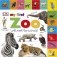 Tabbed Board Books My First Zoo. Board book фото книги маленькое 2