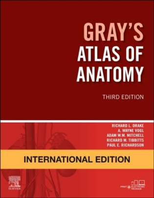 Gray'S Atlas Of Anatomy, International Edition 3 фото книги
