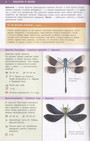 Насекомые России фото книги 2