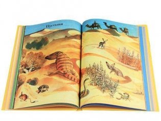 Моя первая книга фото книги 5