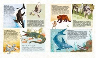 Удивительные животные. Самые-самые фото книги 2