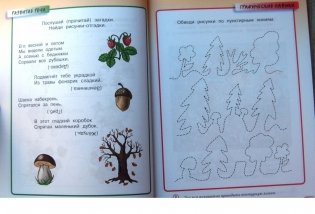 Грамотейка. Интеллектуальное развитие детей 5-6 лет фото книги 5