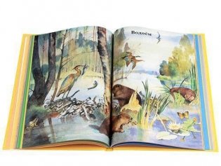 Моя первая книга фото книги 4