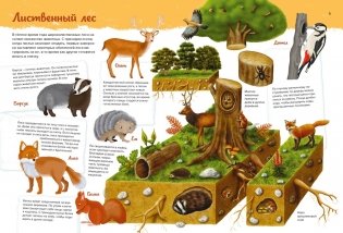 Животные. Мой первый атлас в картинках фото книги 3