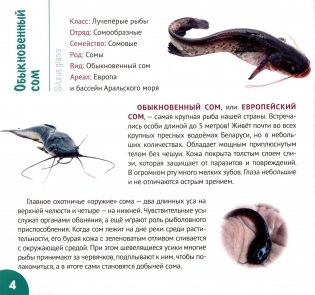 Реки и озёра Беларуси фото книги 5