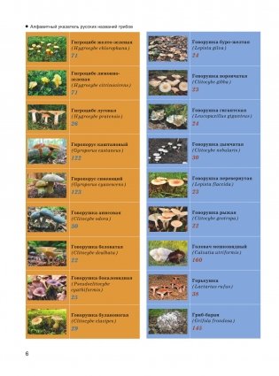 Большая энциклопедия. Грибы. Съедобные и несъедобные. Собираем и готовим. фото книги 7