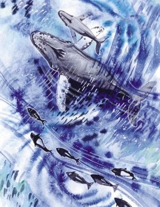 Маленькая косатка фото книги 6