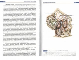 Атлас анатомии человека фото книги 4