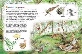 Новая энциклопедия для любознательных фото книги 2