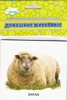 Домашние животные. Учебные карточки фото книги