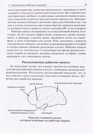 Включите свою рабочую память на полную мощь фото книги 5