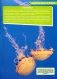 Большая энциклопедия океана фото книги маленькое 8