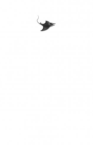 Секреты «Голубого рифа» (#5) фото книги 2