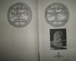 Враг под покрывалом фото книги 6