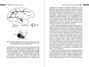 Наука сознания. Современная теория субъективного опыта фото книги 2