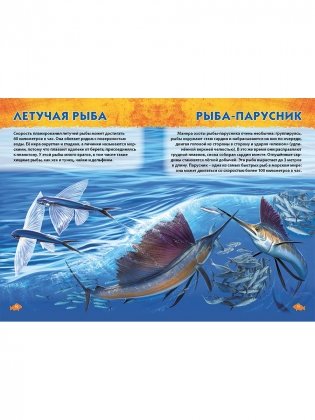Подводный мир. Первая энциклопедия дошкольника фото книги 5