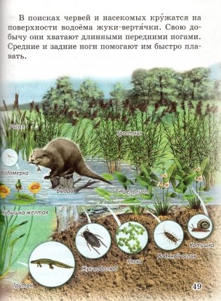 Человек и мир. 3 класс фото книги 8