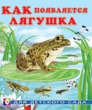 Как появляется лягушка фото книги